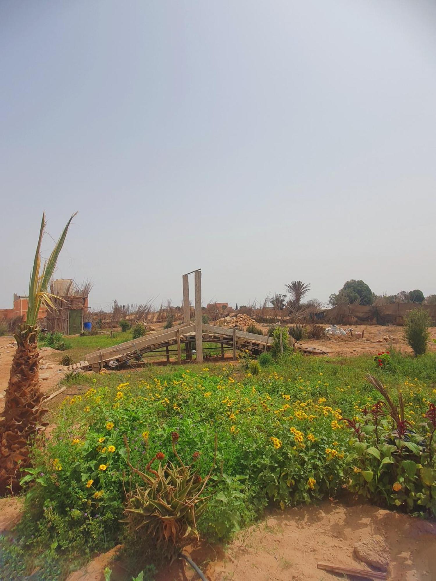 Hébergement de vacances L'experience Berbere Agadir