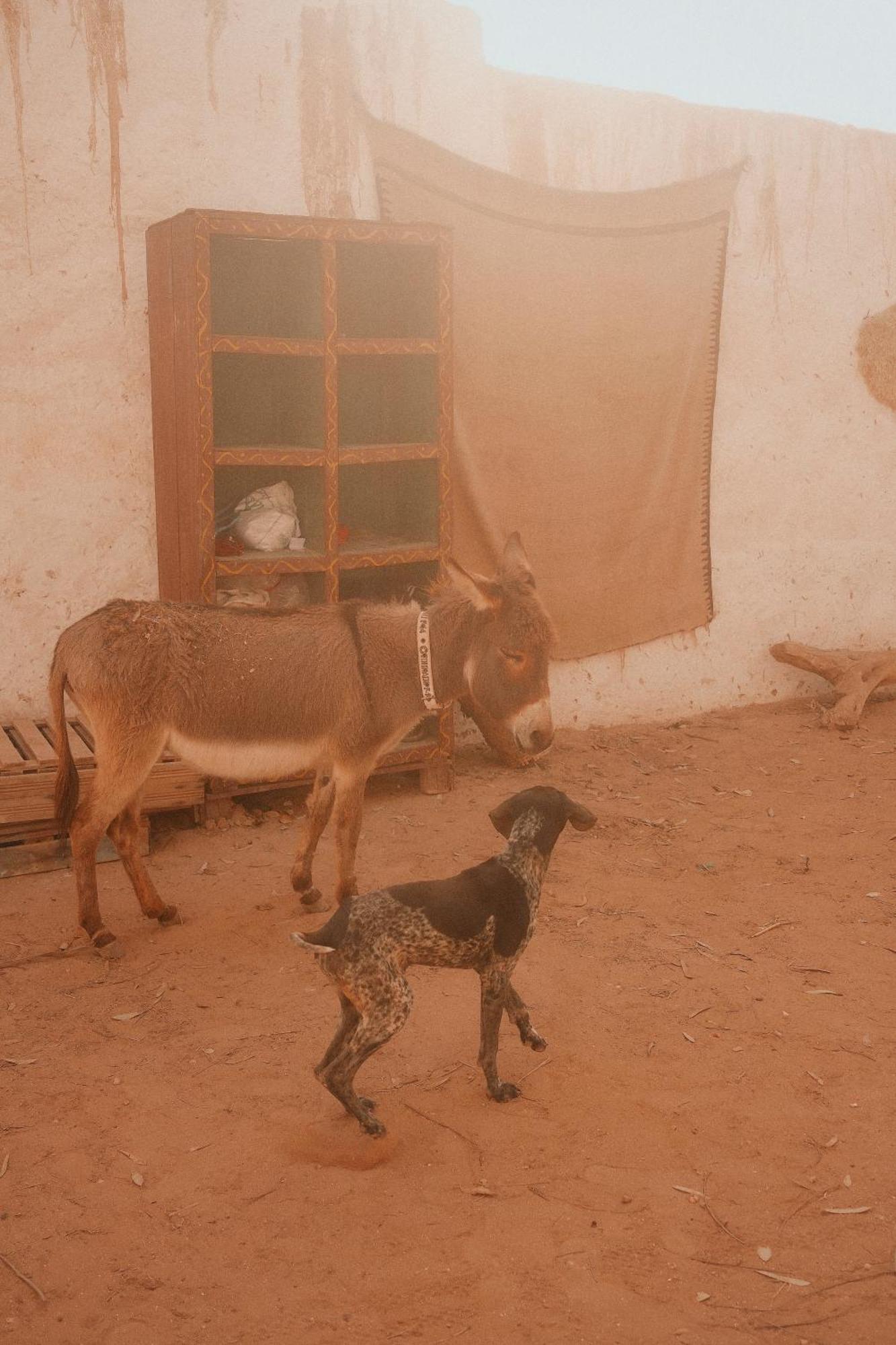 L'experience Berbere Ferienhaus